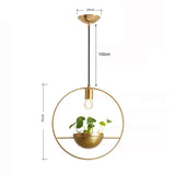 The Solen Pendant Light DECORATIQ | Home&Decor